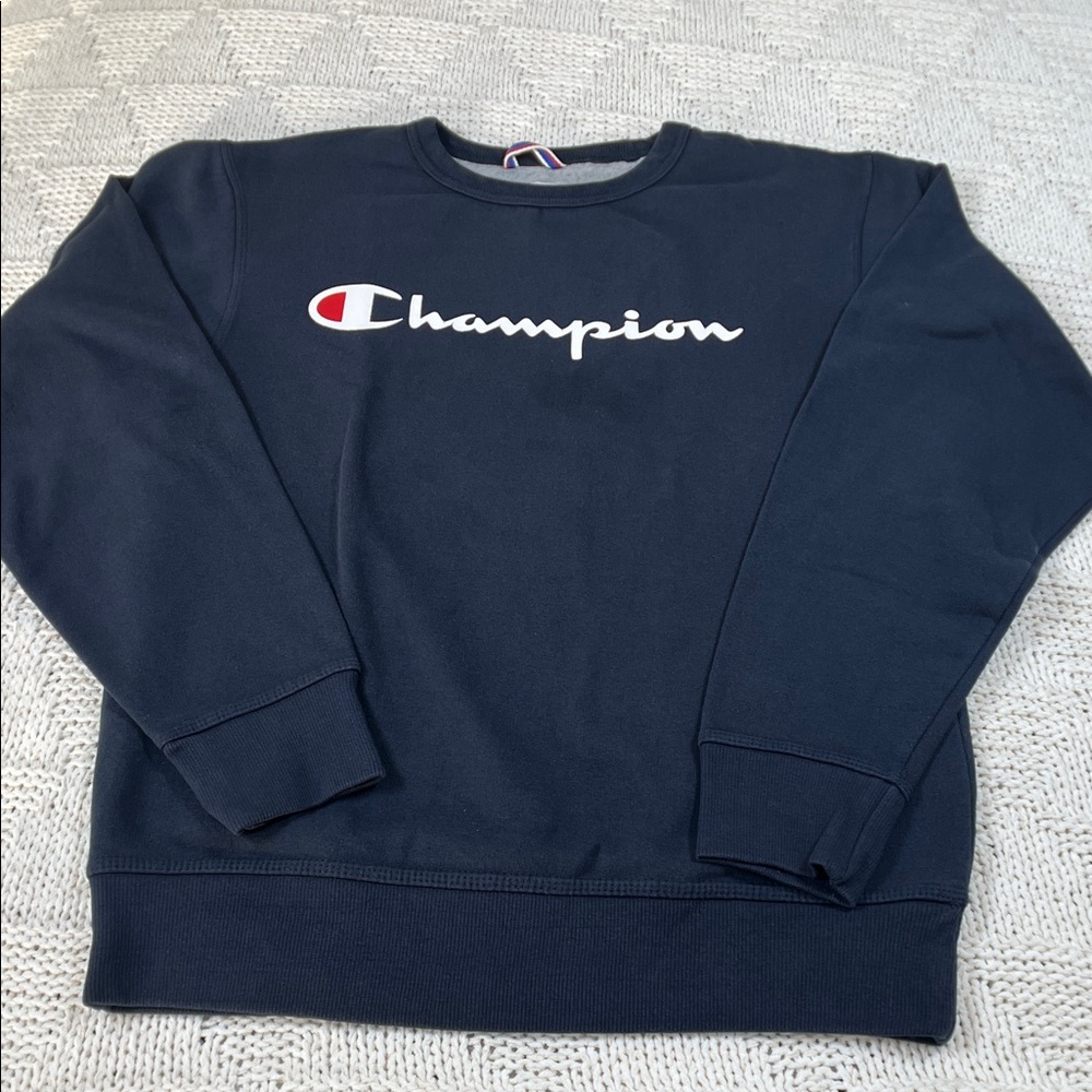 Champion Men’s Crewneck Pullover Sweater